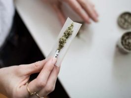 شرکت کانادایی به افرادی که ماری‌جوآنا مصرف کنند ۱۰۰۰ دلار می‌دهد