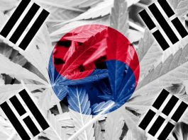 کره جنوبی هم مصرف دارویی ماریجوانا را قانونی می‌کند