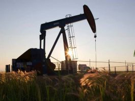 نگرانی و ناامیدی سراسر آلبرتا از کاهش قیمت نفت