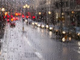باران و بادهای شدید در مترو ونکوور