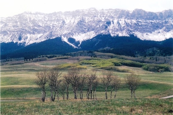 centre-peak-high-country-ranch.jpg