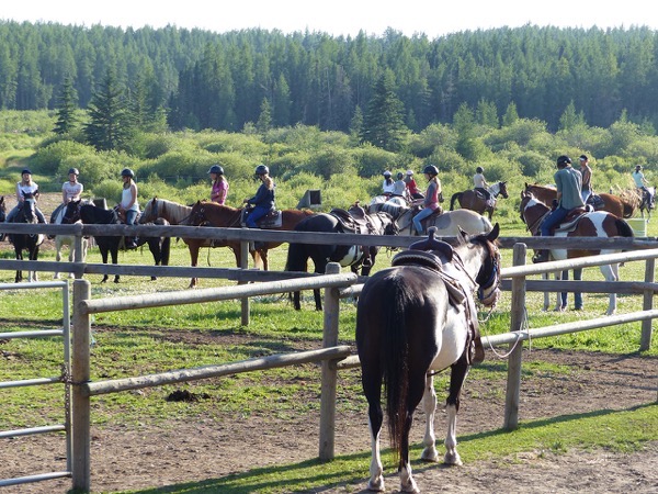 Horseback riding 6